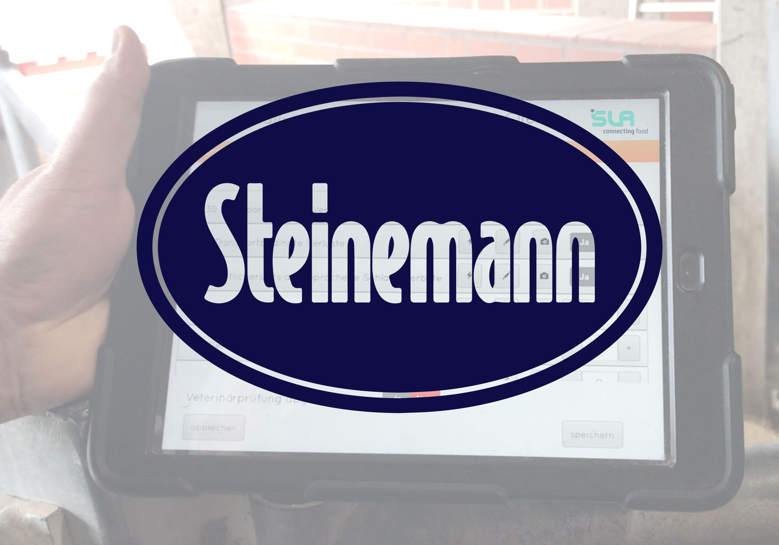 steinemann